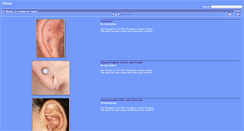 Desktop Screenshot of pinna.hawkelibrary.com