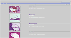 Desktop Screenshot of innerear.hawkelibrary.com