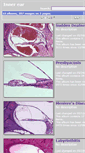 Mobile Screenshot of innerear.hawkelibrary.com