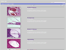 Tablet Screenshot of innerear.hawkelibrary.com